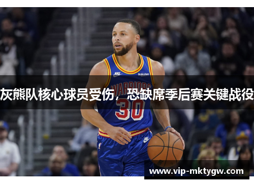 灰熊队核心球员受伤，恐缺席季后赛关键战役