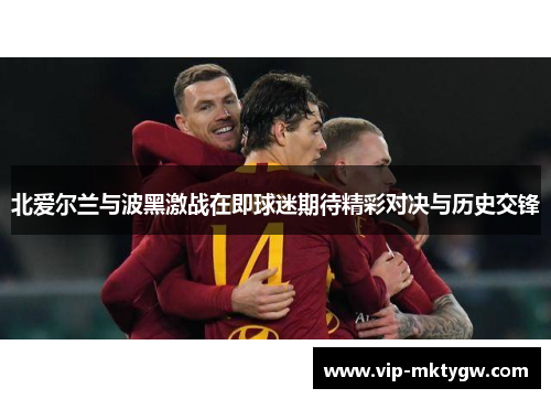 北爱尔兰与波黑激战在即球迷期待精彩对决与历史交锋