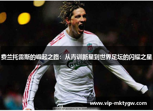 费兰托雷斯的崛起之路：从青训新星到世界足坛的闪耀之星
